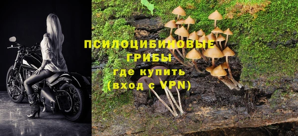 МДПВ Алзамай