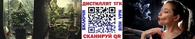 ссылка на мегу tor  Гуково  Дистиллят ТГК Wax 