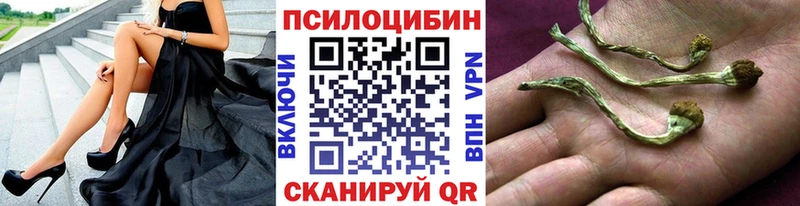 Псилоцибиновые грибы Psilocybine cubensis  Гуково 