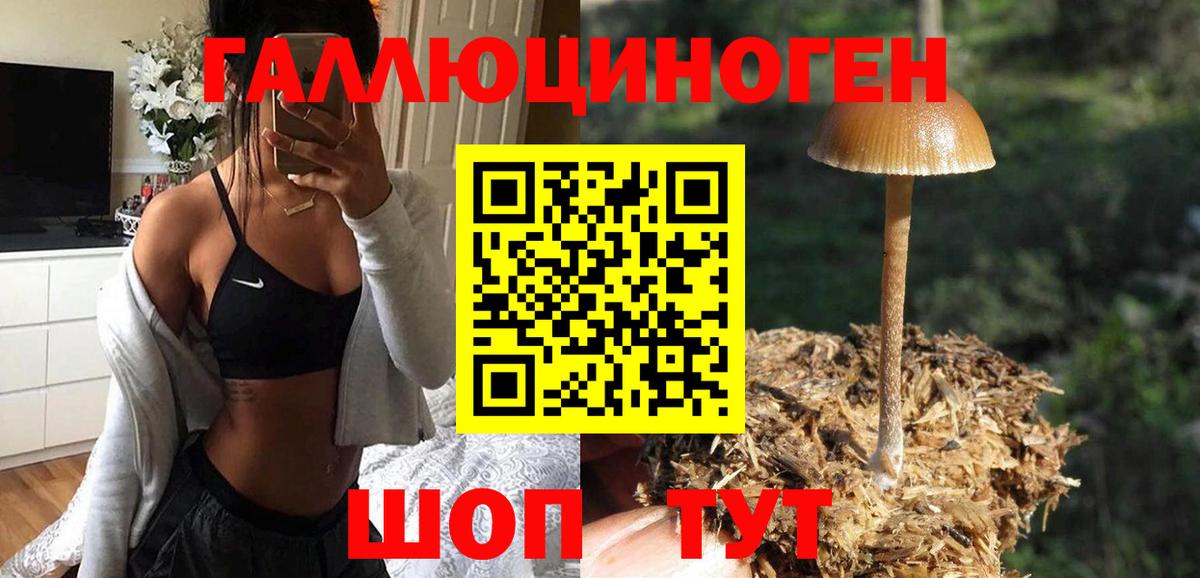 Псилоцибиновые грибы GOLDEN TEACHER Гуково