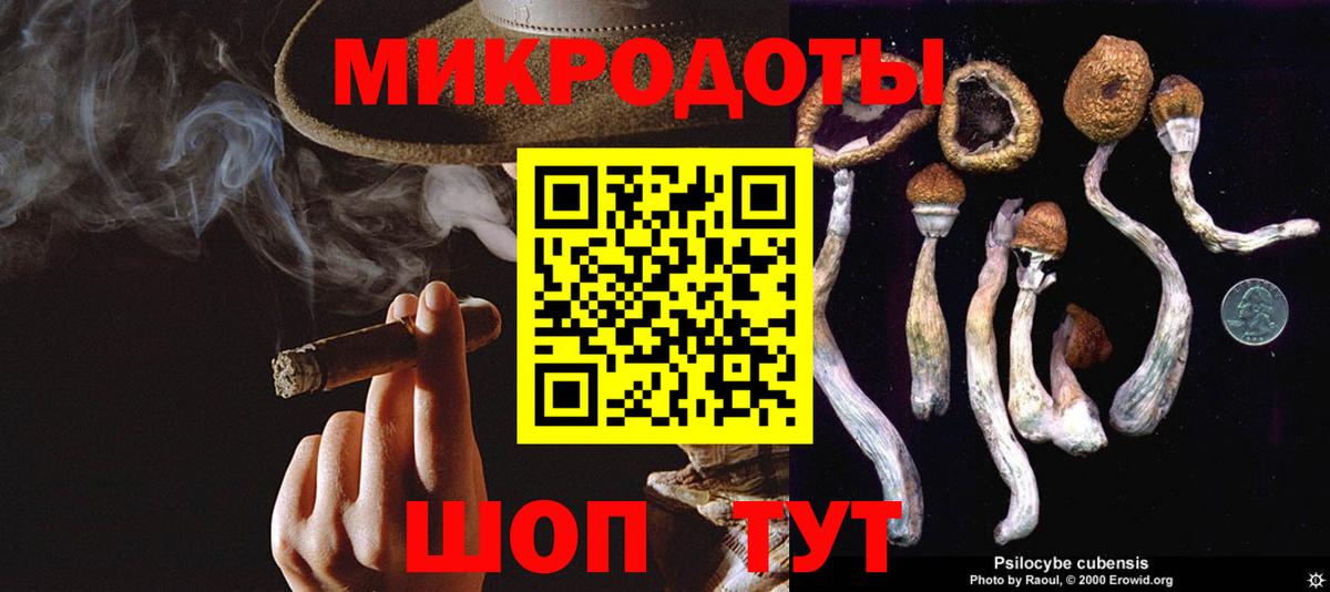 Гуково  Псилоцибиновые грибы Psilocybine cubensis  Вход с VPN 
